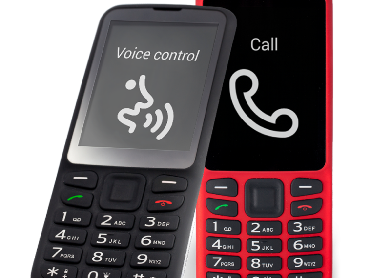 voice control asysytent głosowy aplikacja głosowa dla niewidomych